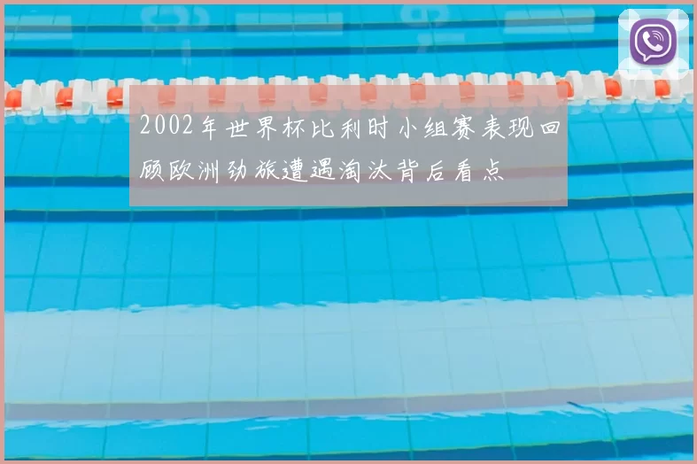 2002年世界杯比利时小组赛表现回顾欧洲劲旅遭遇淘汰背后看点