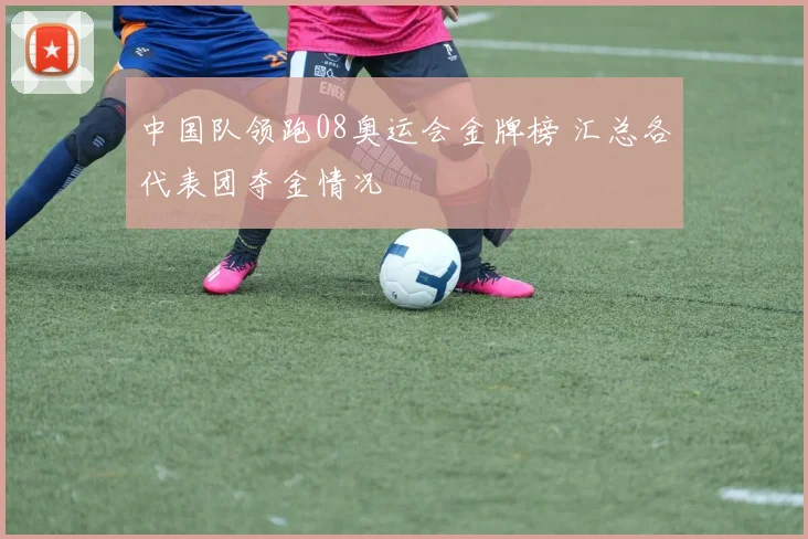 中国队领跑08奥运会金牌榜 汇总各代表团夺金情况