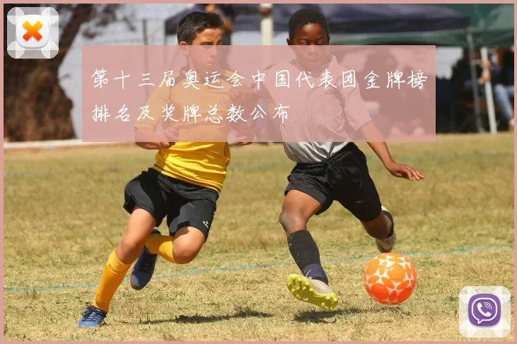 第十三届奥运会中国代表团金牌榜排名及奖牌总数公布